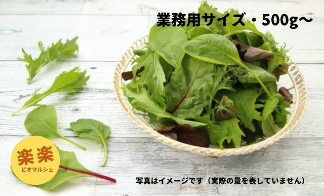 ベビーリーフ（大容量お得サイズ・1㎏単位）