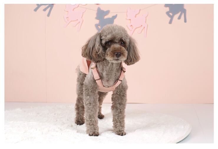 コールテンオーバーオール S ~ XL 2color / 犬服 ドッグウェア 犬の服 小型犬 中型犬