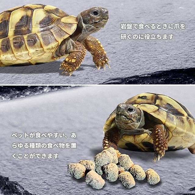 爬虫類の岩 亀乾燥ボード 30cm*15cm 床材 飼育ケースライナー 保温 保湿 フードプレート 飼育ケース内装 爪を磨くために使用