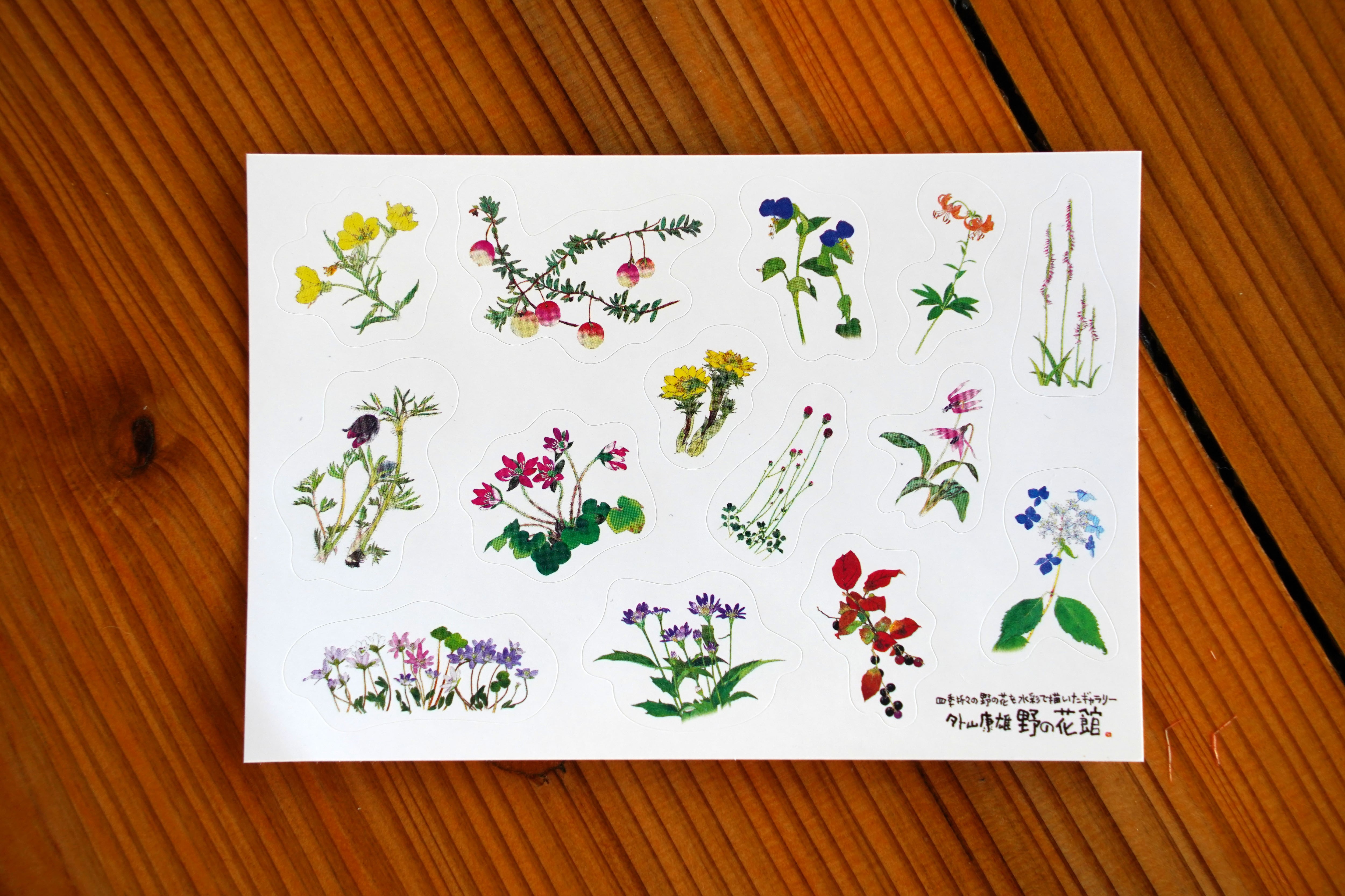 外山康雄 野の花館 オンラインショップ
