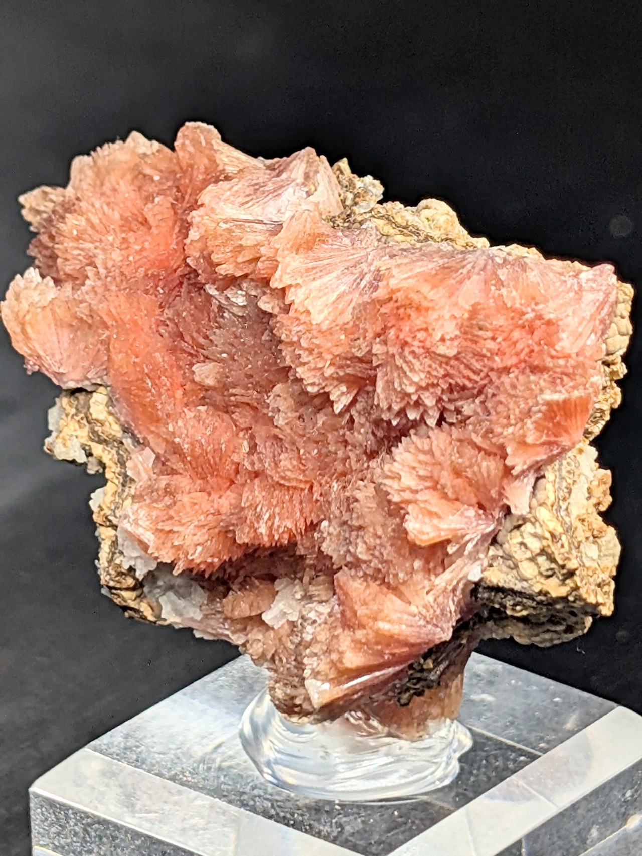 イネサイト（ケース付）  Wessels Mine, Hotazel, Kalahari, Northern Cape, South Africa　 AR87101225