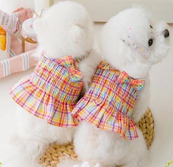 【予約】№1102800 レインボーキャミ