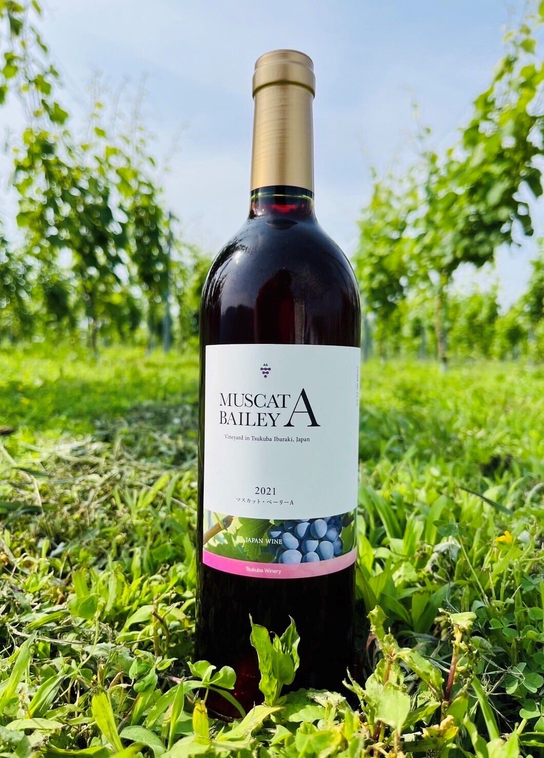 f90f369b52e95b5447b9e3eba83f4b