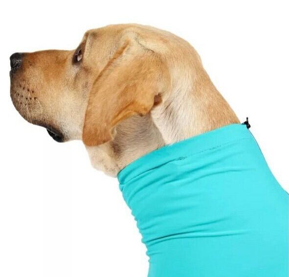 犬服】XSサイズペット服ドッグ服犬の服首輪犬首輪ペット首輪猫首輪 犬服】XSサイズペット服ドッグ服犬の服首輪犬首輪ペット首輪猫首輪
