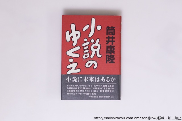 小説のゆくえ　初カバ帯　毛筆署名入　/　筒井康隆　　[40215][良好]