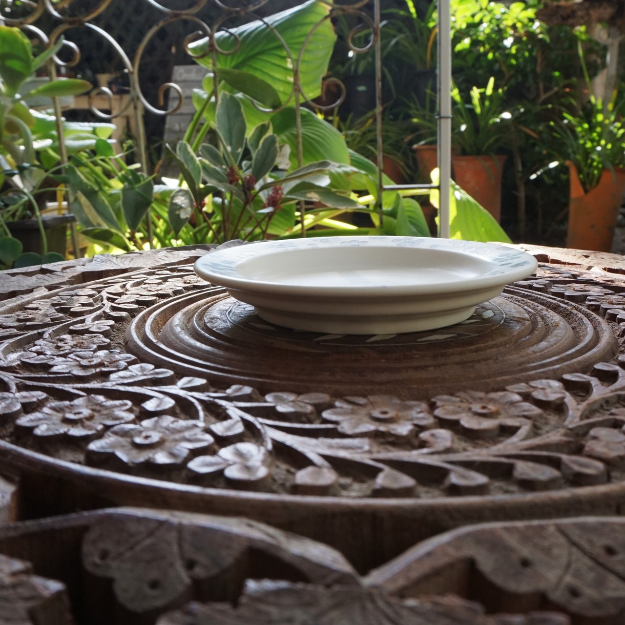 【豆皿】 小紋:すこし屋