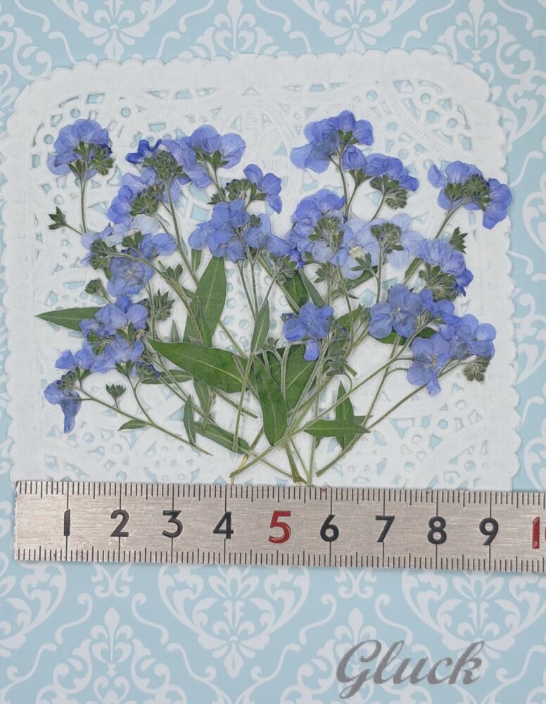 f918a5c33cc4bbb726011e41016dd7