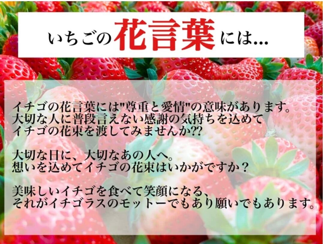 食べれる花束いちご イチゴラス 苺のオンライン直売所
