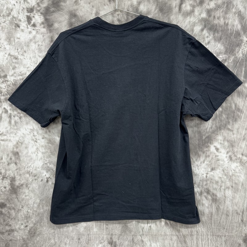 Supreme/シュプリーム【22SS】Al Green Tee/アル グリーン フォト T 