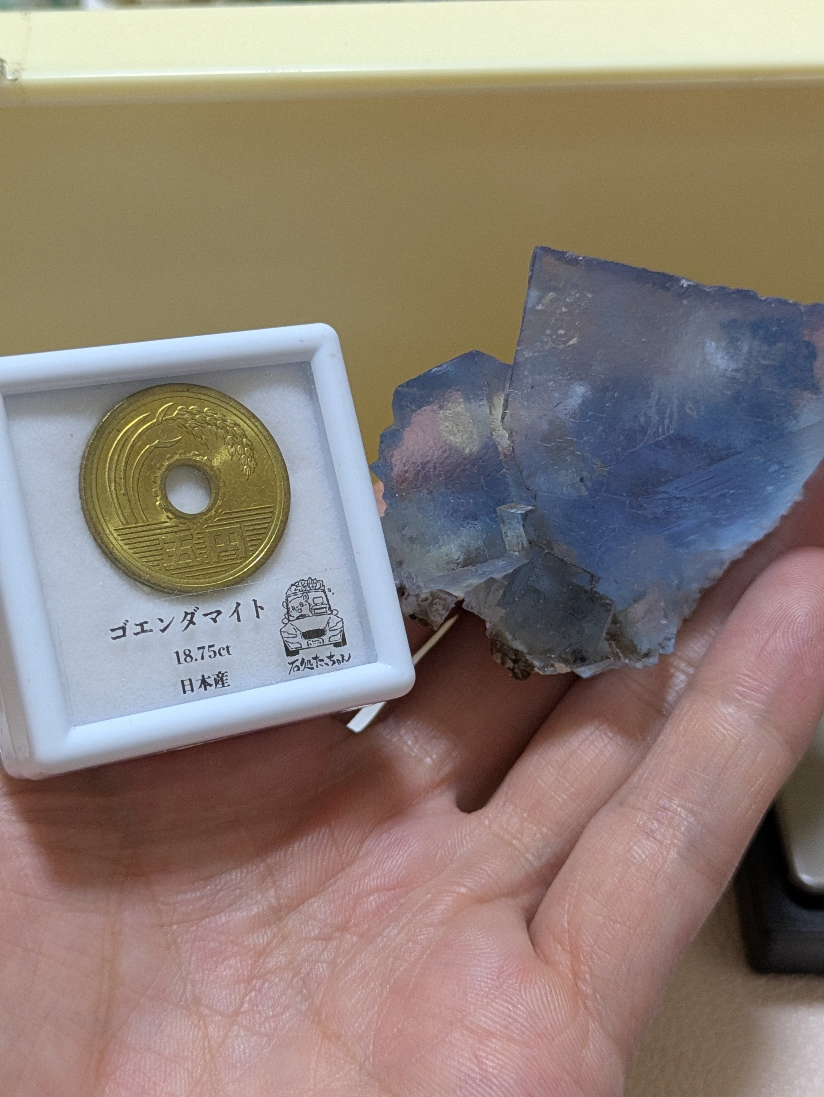 Minerva No. 1 Mine】オイルinフローライト 石油入り蛍石 原石 鉱物