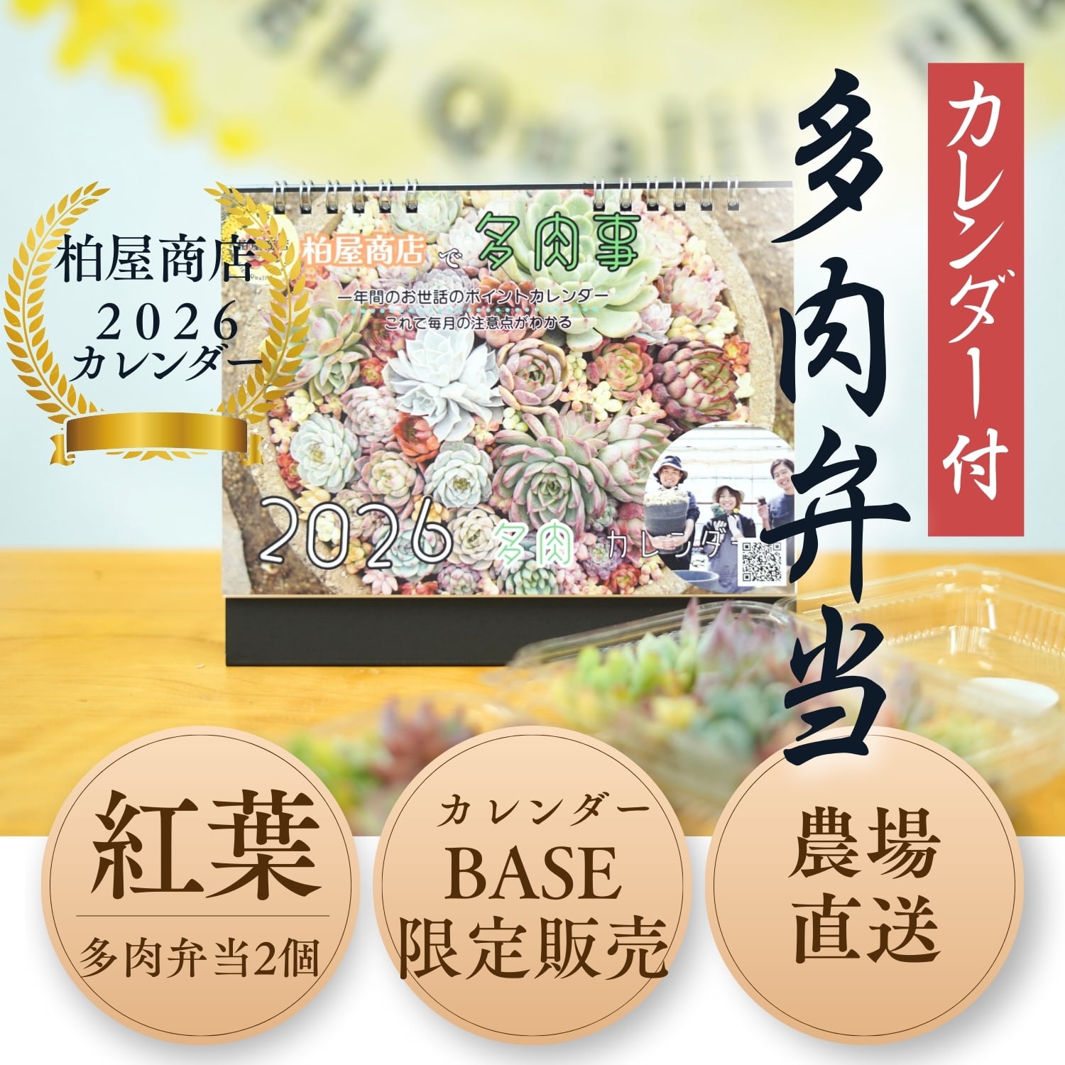 2026年柏屋商店カレンダー付多肉弁当