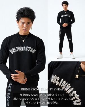 RHINE STONE SLIM FIT SWEAT【BS26029】