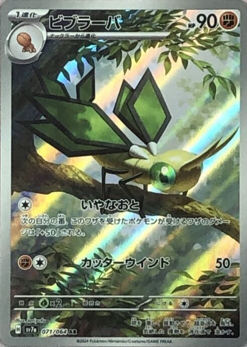 【美品】ビブラーバ(AR)