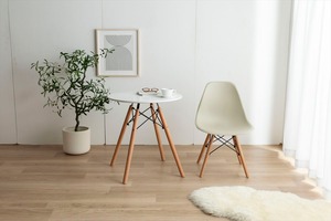 ミッドセンチュリーの代名詞 大人気イームズ チェア EAMES-DSW