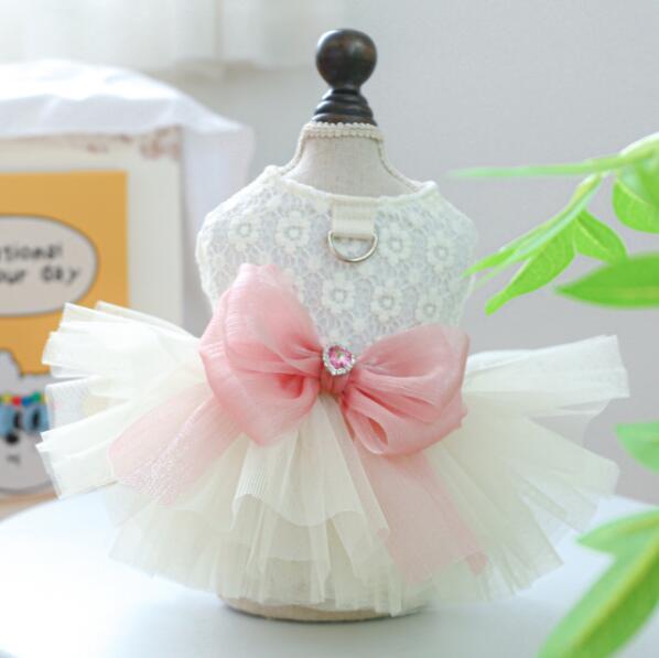 《予約》2101344 ドロシーピンクリボンチュチュドレス