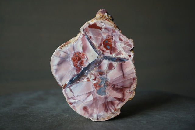 コールドマウンテン・サンダーエッグ Cold Mountain Thunderegg 1031