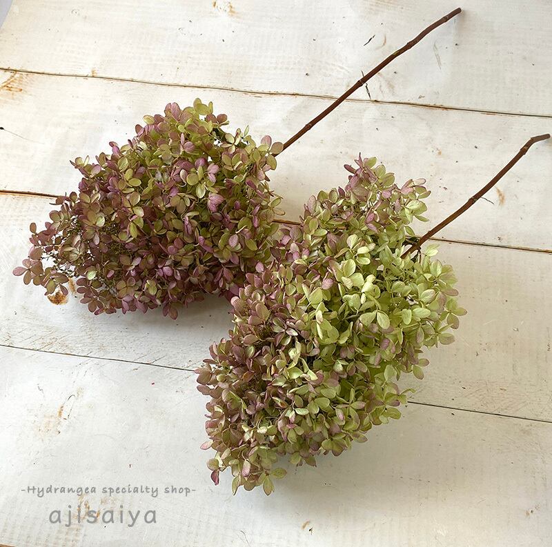 秋色紫陽花のフラワーボール グリーン