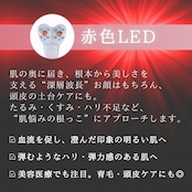 【2週間前後でお届け】ZERU V2 & 栗林 良子様 お気に入りセット