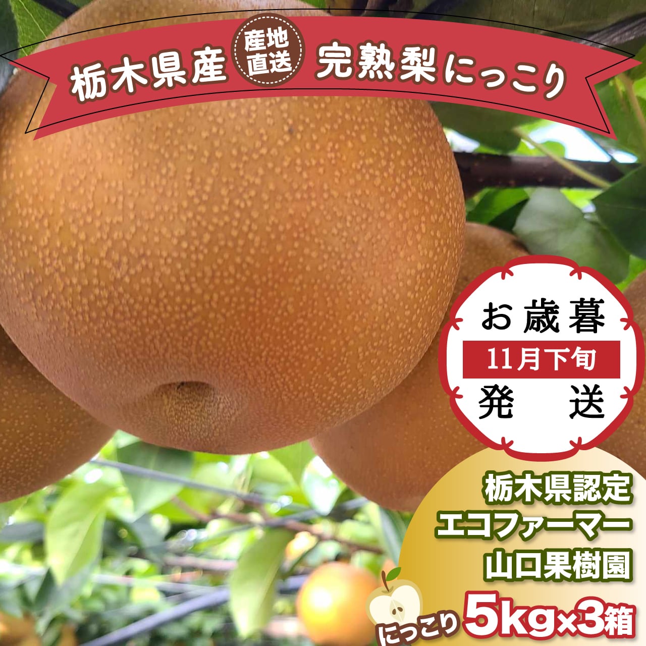 完熟梨 にっこり 5kg×3箱 | 山口果樹園｜産直通販「あるよ」応援
