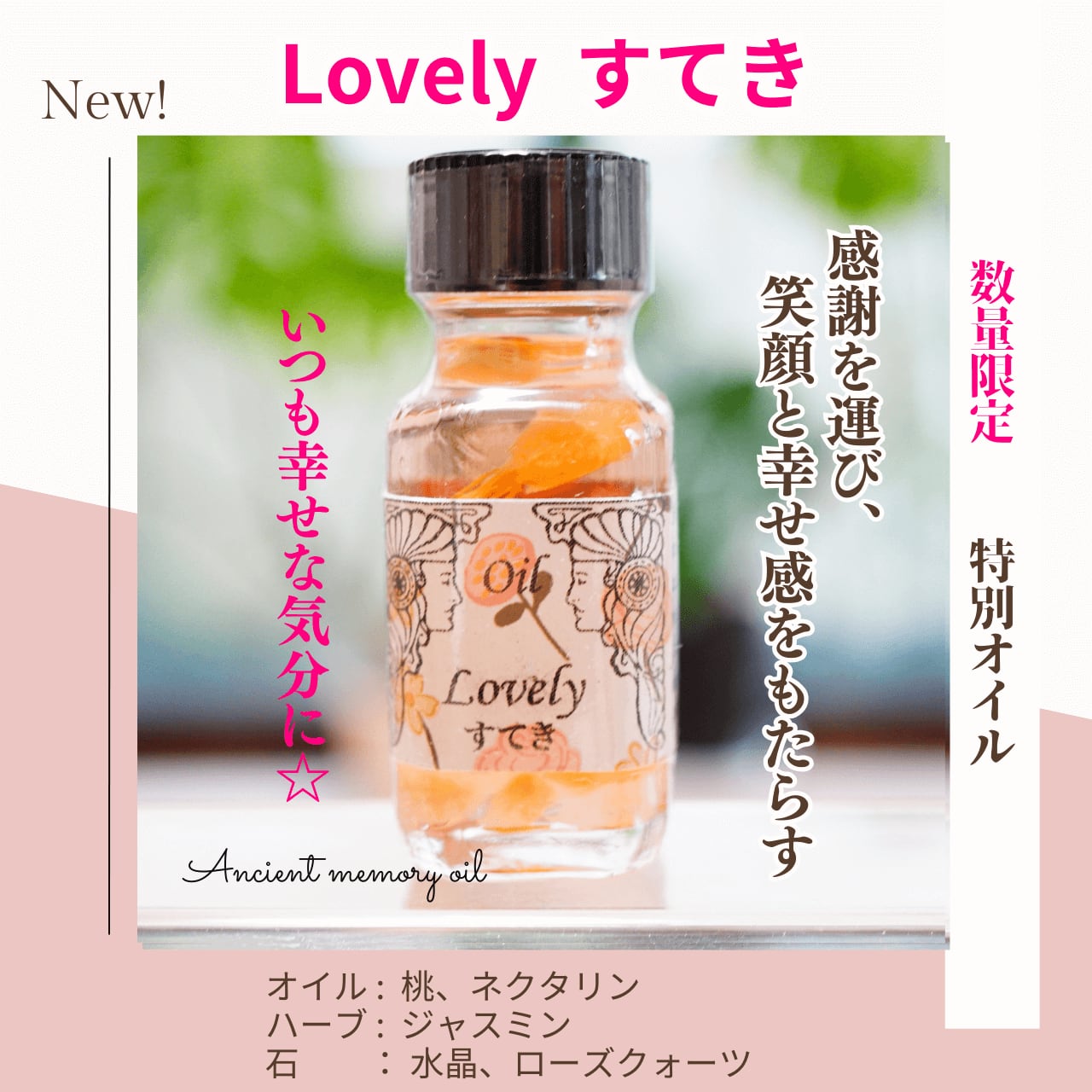 ykt様 YKT様 ハリウッドスター芸能人も愛用！本場アメリカブレンドメモリー