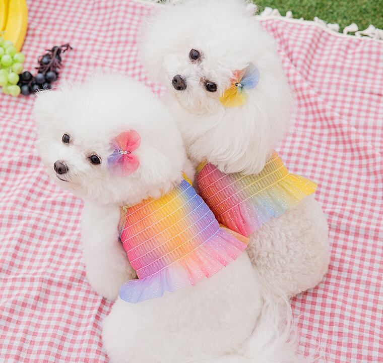 ハンドメイド犬服　パステルカラーのパフスリーブワンピ　色違い３色　接結ニット ハンドメイド犬服パステルカラーのパフスリーブワンピ色違い3色接結