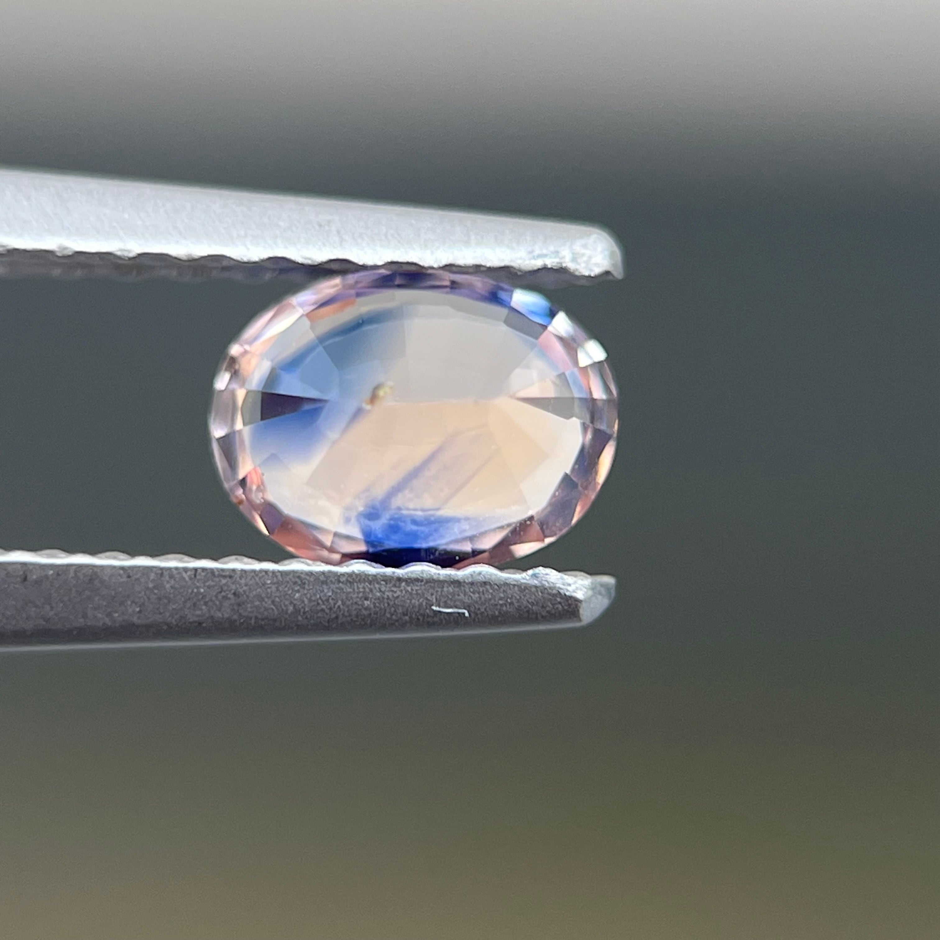 スリランカ産非加熱天然バイカラーサファイアルース | トシッタ ジェムズ