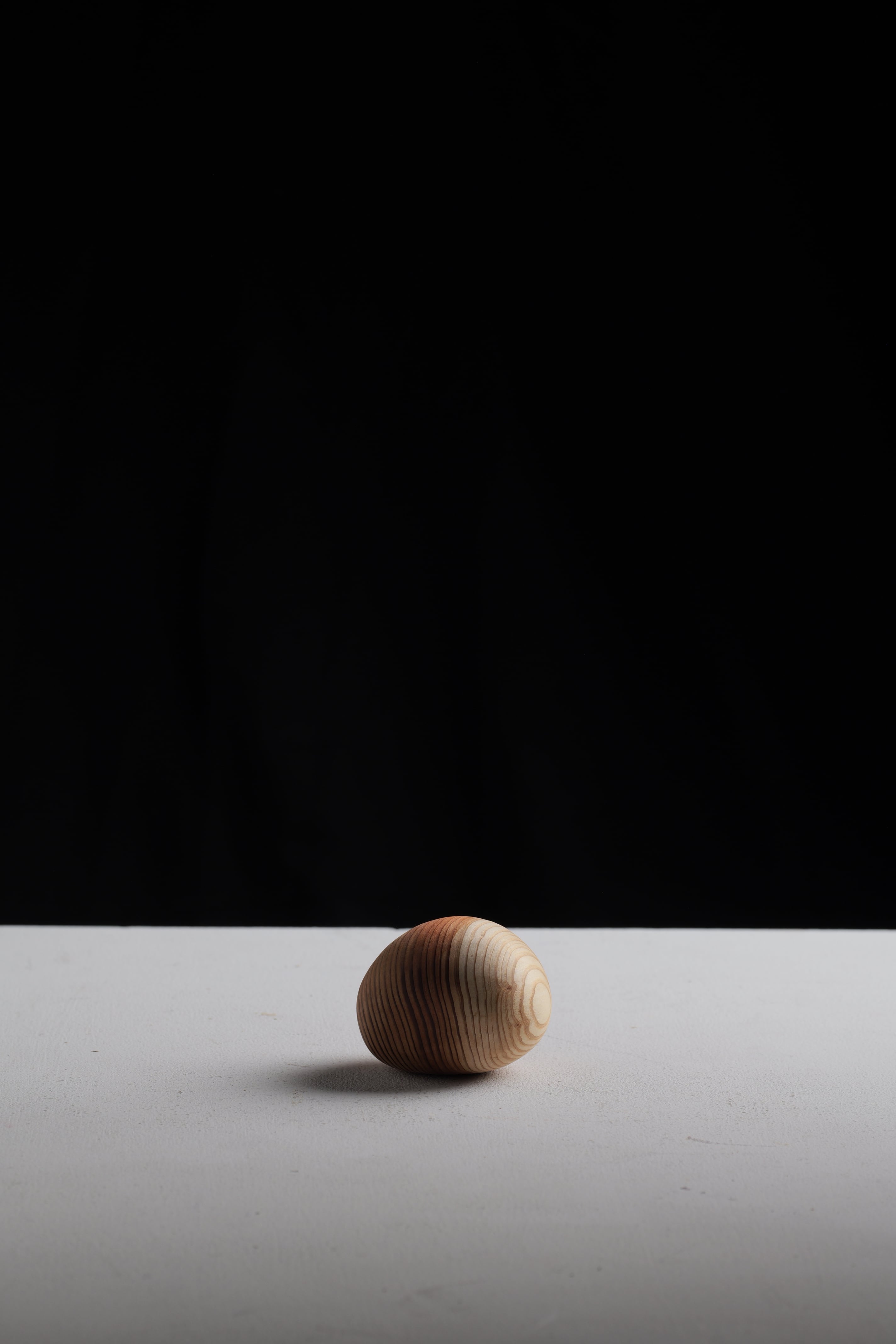 木の石 “wood stone” S ④