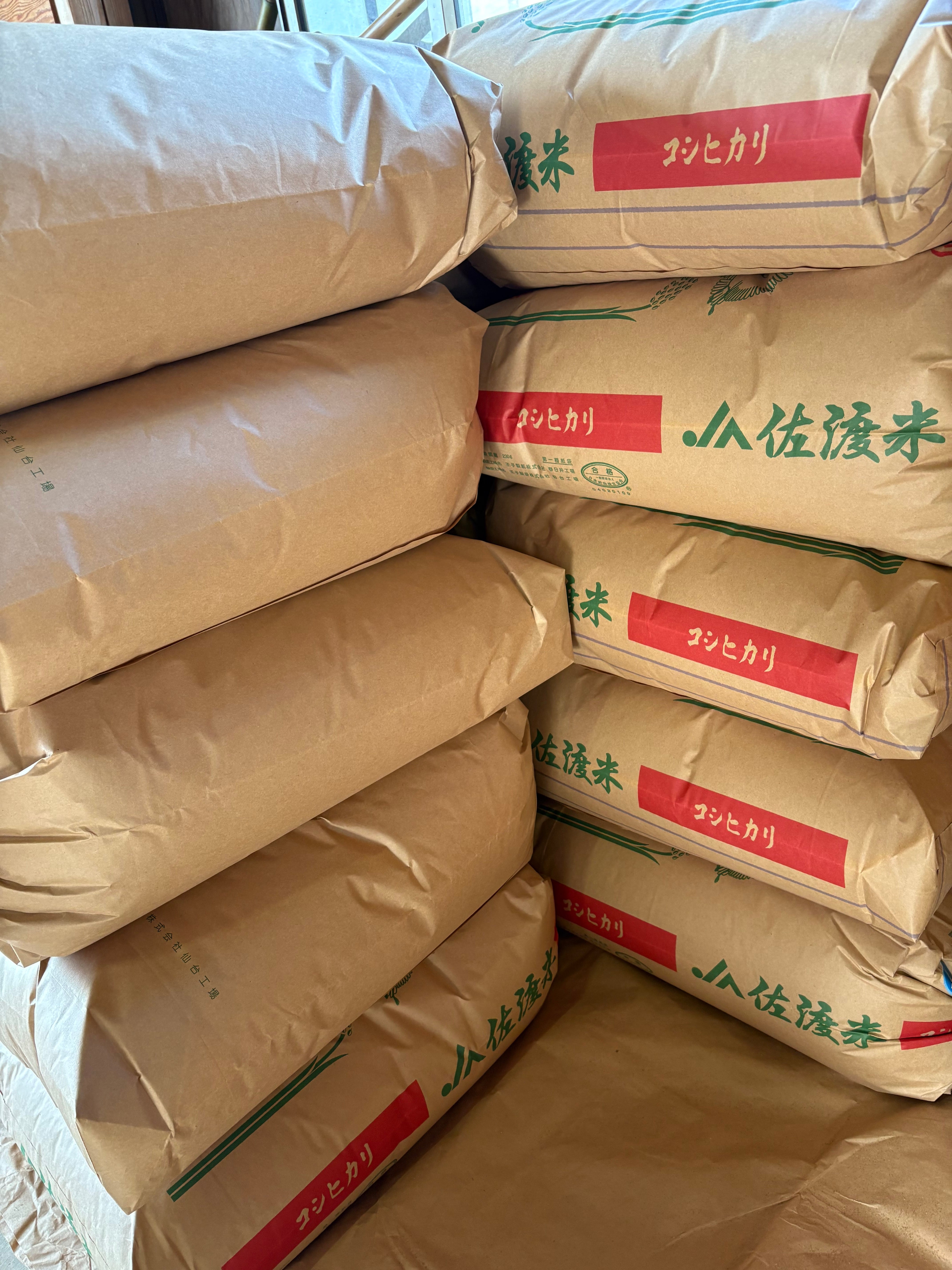 3本セット販売》令和7年産新米 佐渡産コシヒカリ5割減減特別栽培米 3本セット販売》令和7年産新米 佐渡産コシヒカリ5割減減特別栽培米