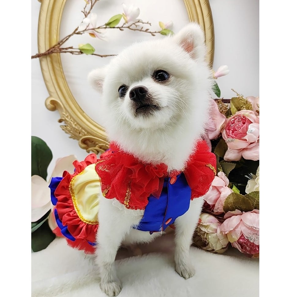 f941319b8c7ac06626e11c3454bf40