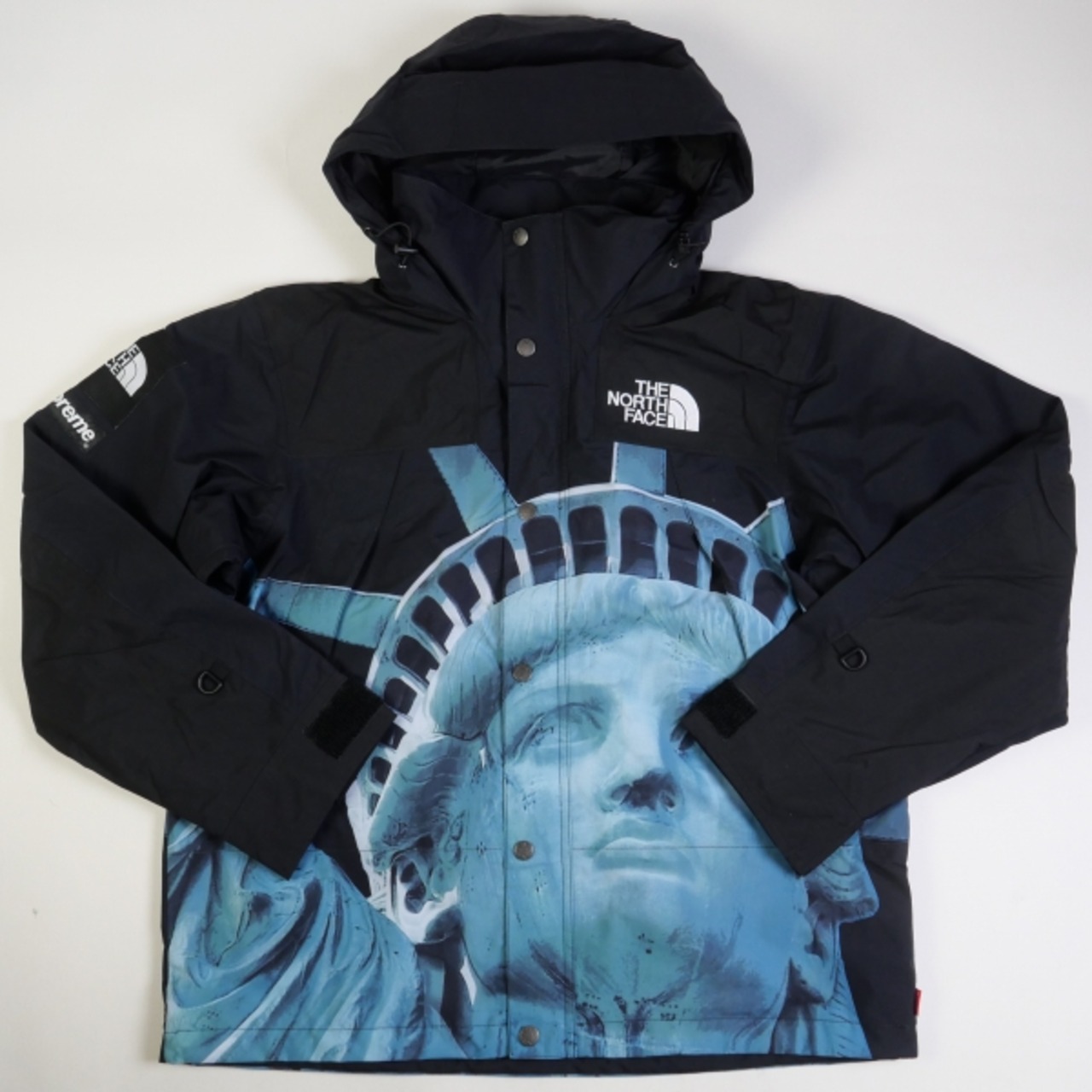 Size【L】 SUPREME シュプリーム ×THE NORTH FACE 19AW Statue of 