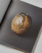 SHIMIZU UICHI / THE LANGUAGE OF GLAZE