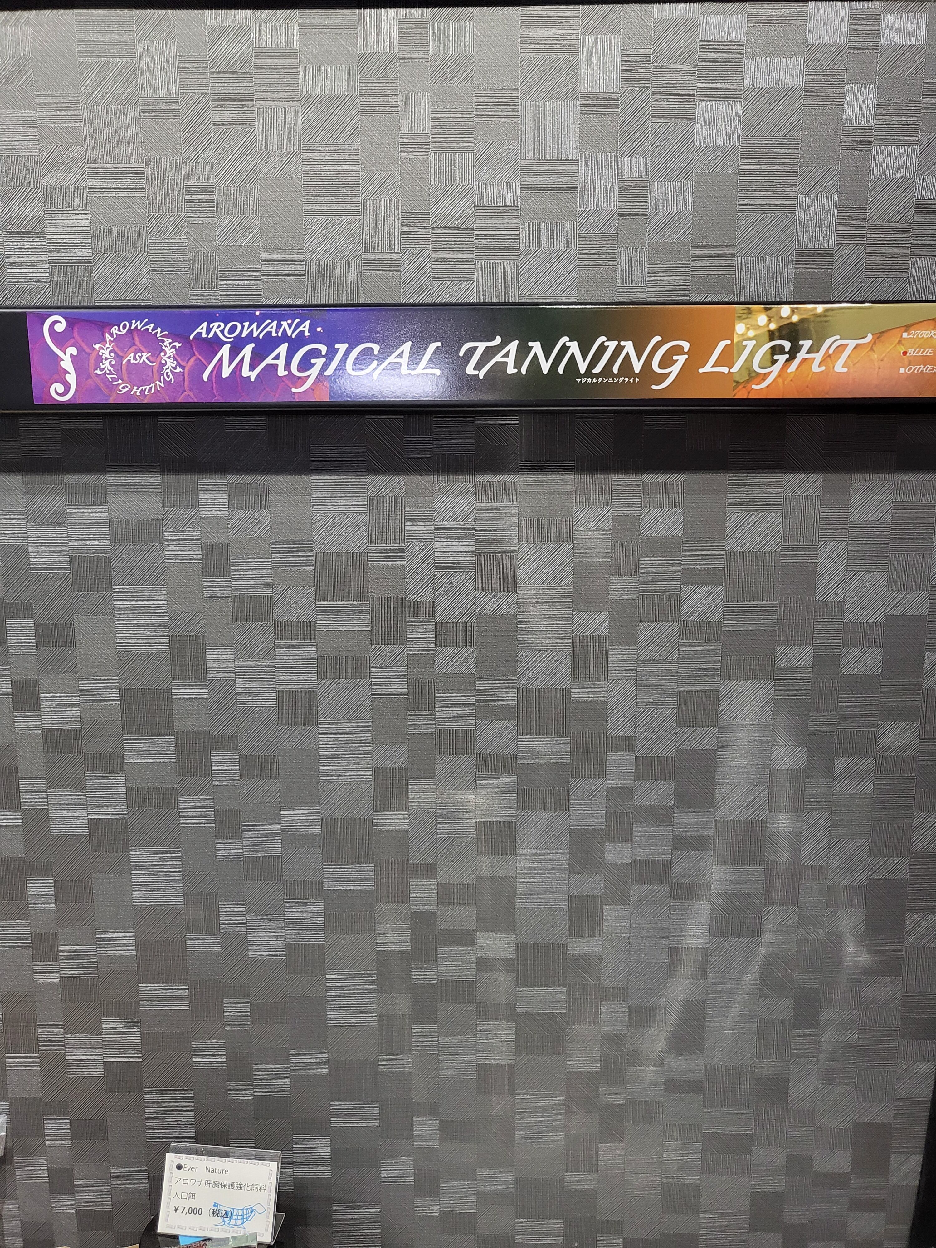 ASK LED テンニングライト 青 黄色 1500タイプ | アロワナ専門店SISIK