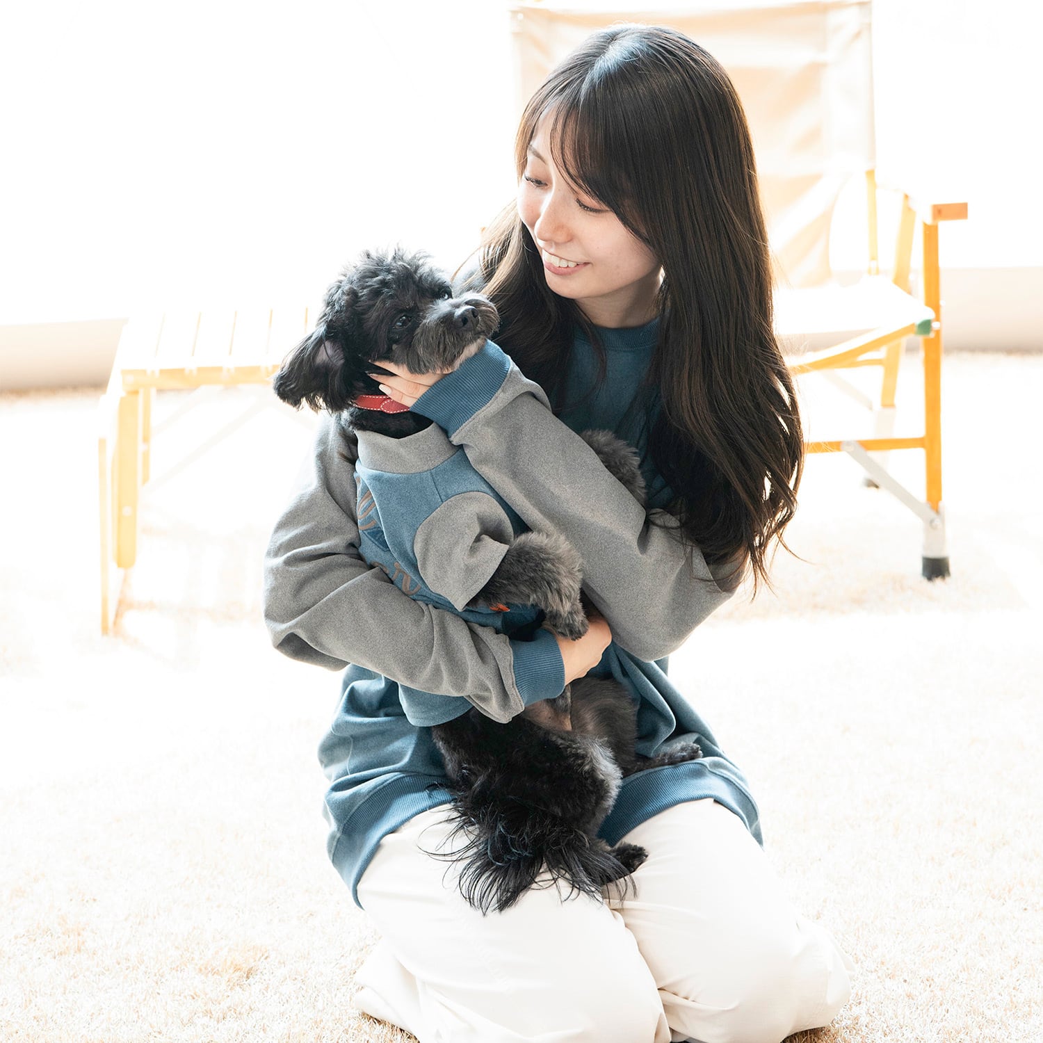 ドッグウェアCP対象】DOGもちのびT（BLUE×GRAY） | 38explore