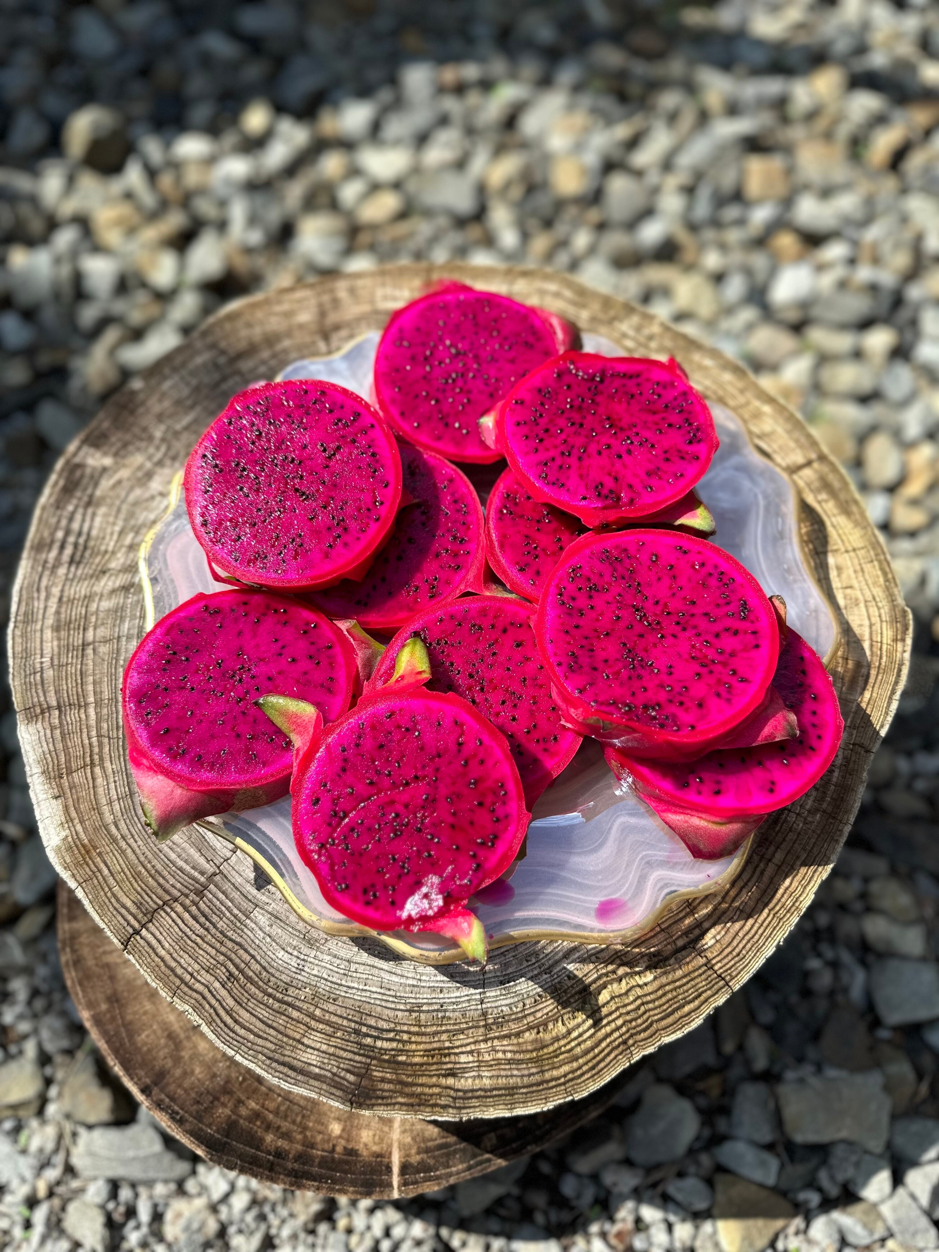 鹿児島県産完熟ピタヤ（ドラゴンフルーツ）詰め合わせ【約1.5kg