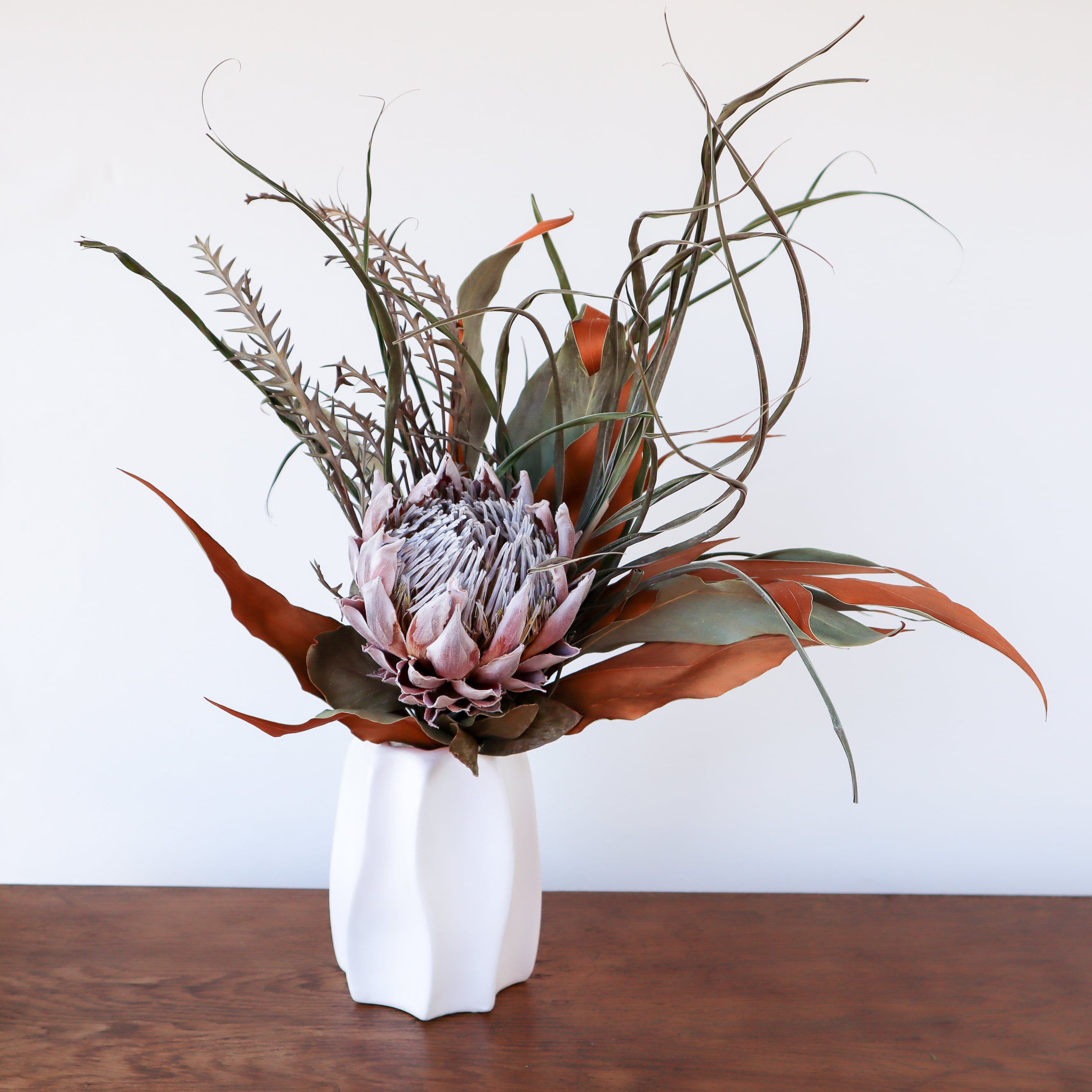 最安値級価格 ドライフラワー スワッグ キングプロテア 花瓶用 ブーケにも No 192 フラワー ガーデン Www Cecop Gob Mx