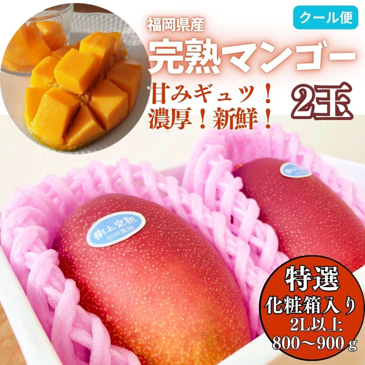 期間限定大特価！】厳選品！大玉2L以上の2玉 柴田農園の濃厚完熟 