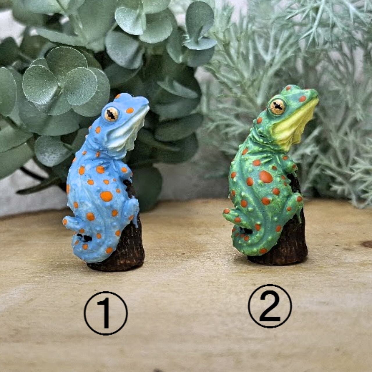 クランウェルツノガエル | 真工房 masakoubou