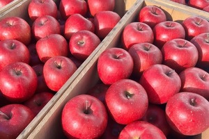 はれわたり（白米）5kgと葉取らずサンふじ（家庭用）2kg