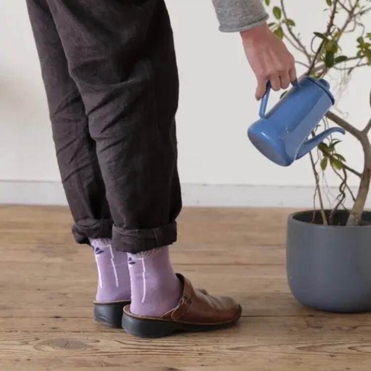 salvia ふんわりくつした コスモス