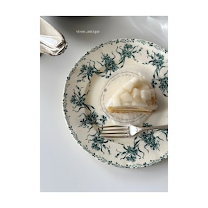 Salins サラン / “Les Bleuets” 矢車菊の平皿プレート d