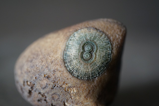 ゴビアゲート Gobi Agate 1130