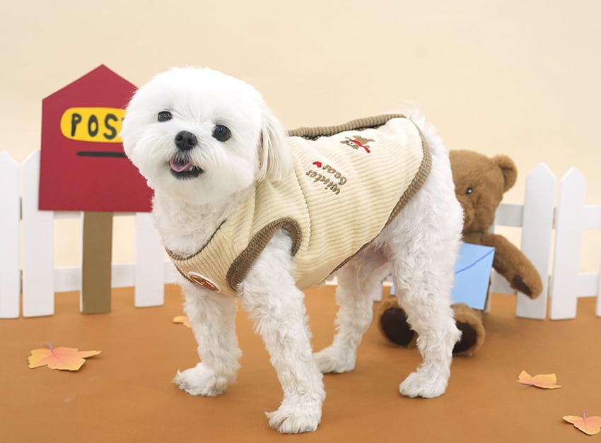 bear corduroy vest S ~ XL 2color / 犬服 秋冬 新作 コーデュロイ ベスト アウター ベロア 裏地 暖かい 可愛い 犬の服 トップス お揃い ドッグウェア