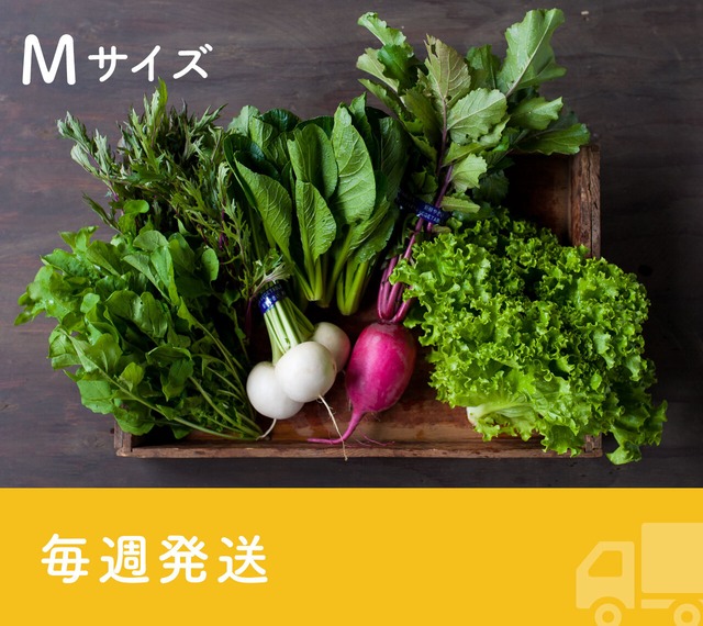 《毎週発送》FIO野菜-定期便 Mサイズ