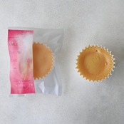 地球に優しいエシカルチーズケーキ -林檎-