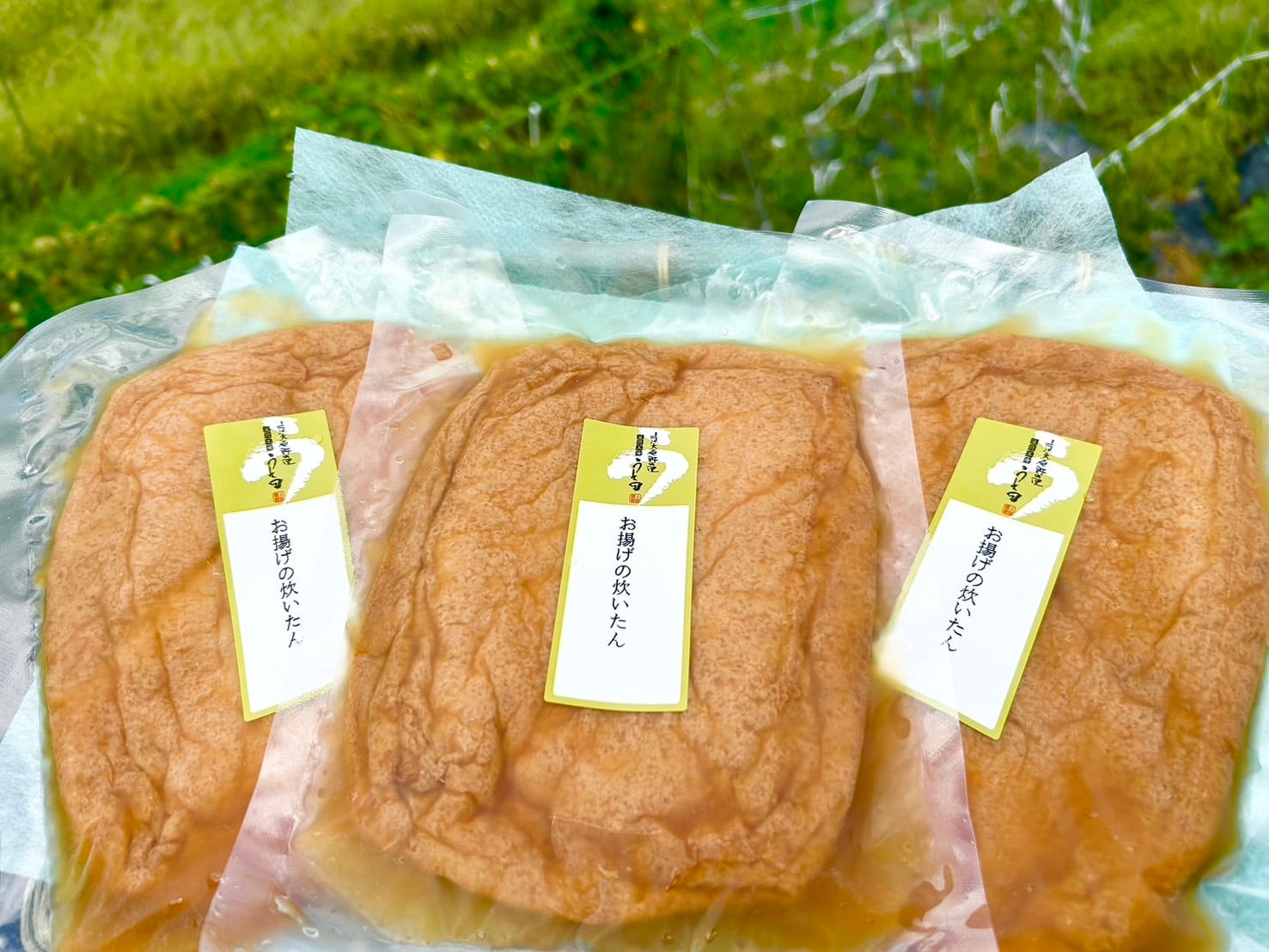 上田の匠 手あげ (10枚セット) | 豆腐の取り寄せ・通販は京都 上田