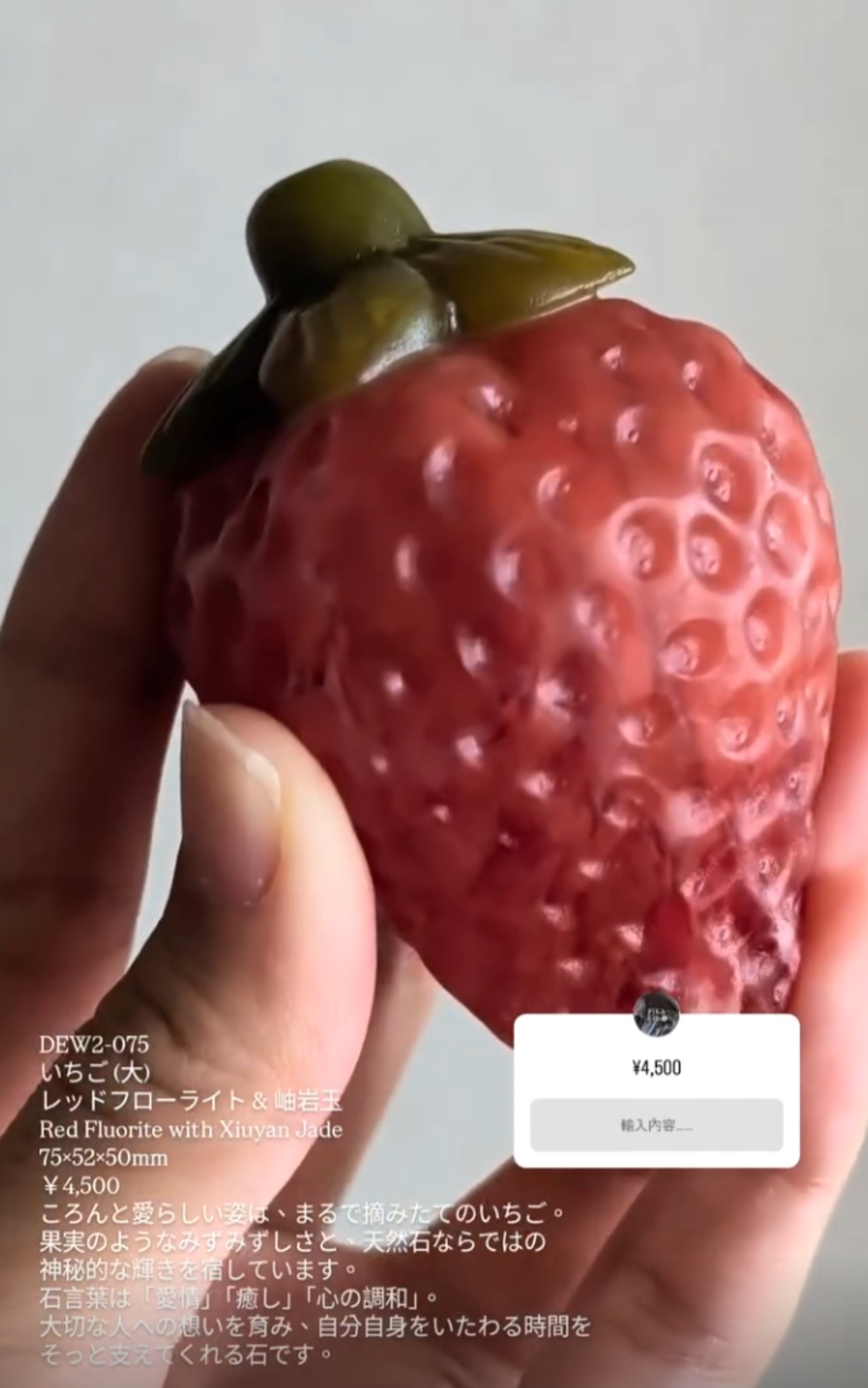 ⭔ お客様専用ページ ⭔ a.m.8973様　