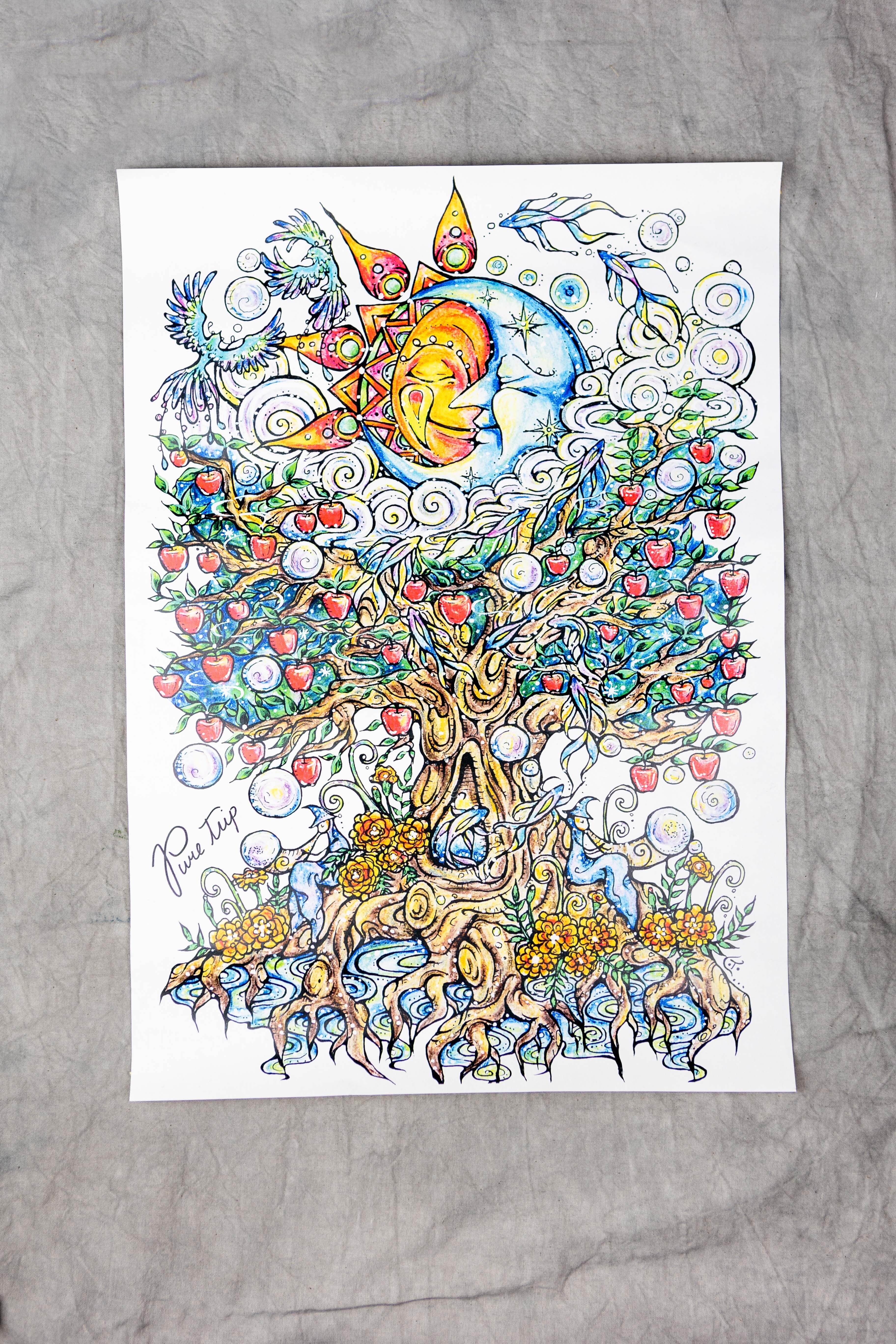 白石まゆみ A3ポスター 5枚セット SWEET STEADY【Official】 on