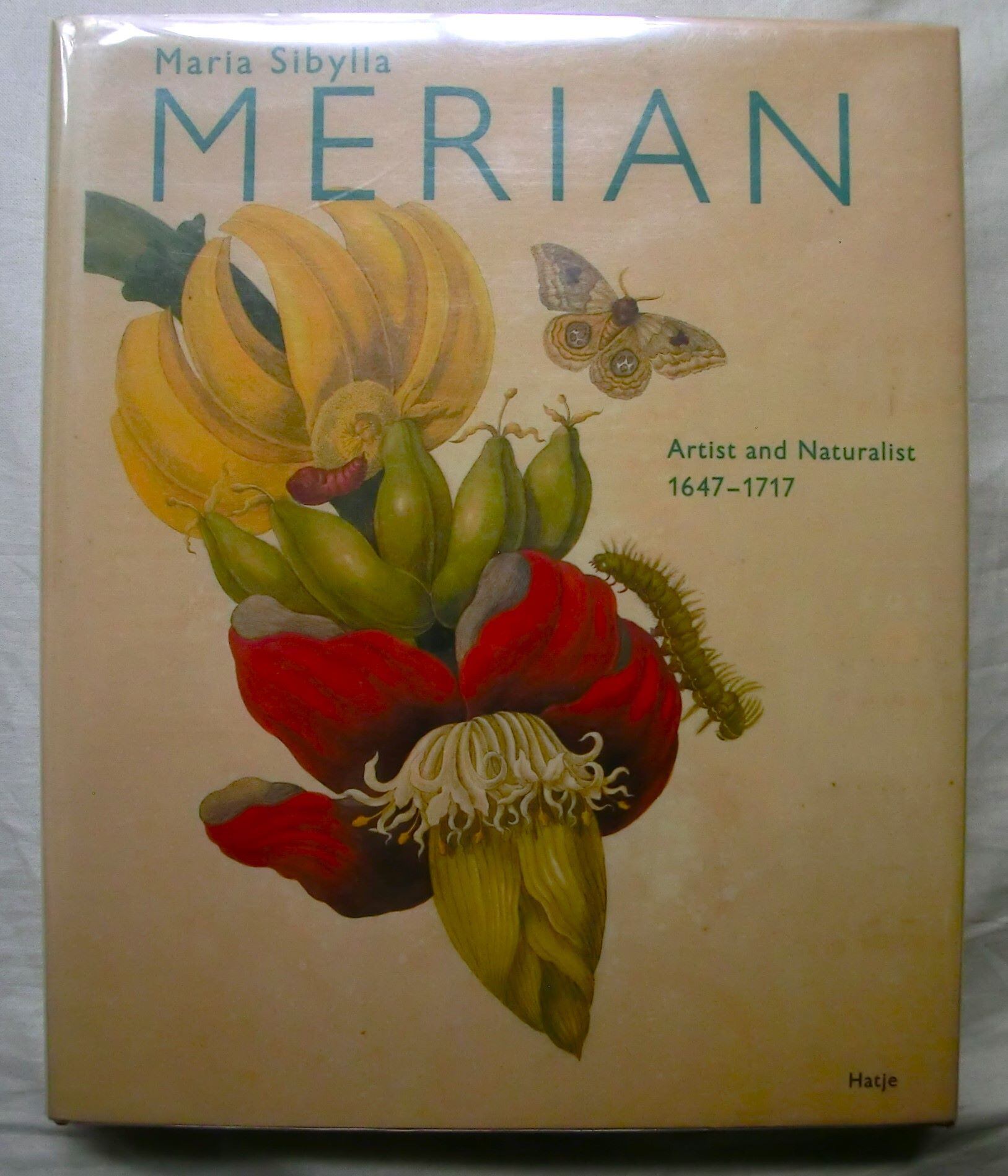 マリア・シビラ・メーリアン 植物画 昆虫画 図譜 Maria Sibylla Merian