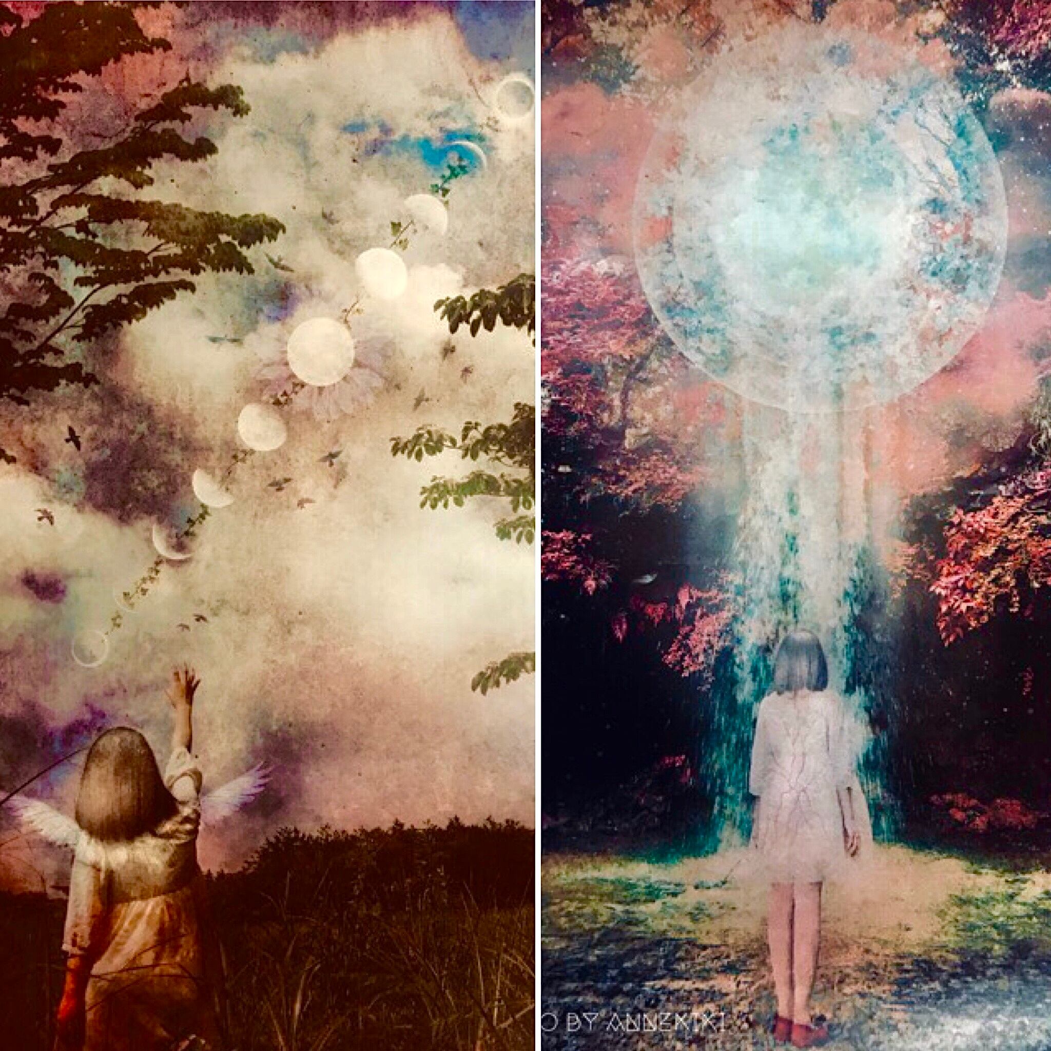 【月光】アート作品 受注生産 ANNEKIKIアート作品「Forest Astronaut」月の写真集 | Nikaism