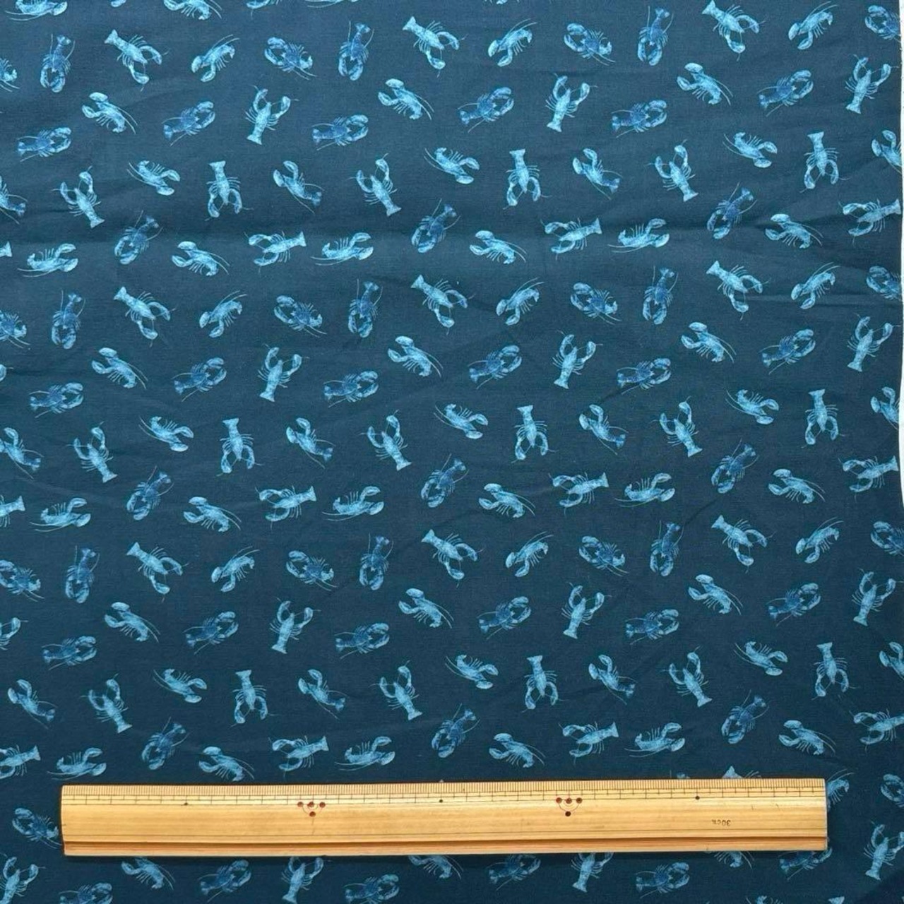 Cdr561◆50cm◆S◆綿100%シーチング生地◆ロブスター